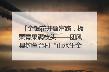 金银花开致富路，板栗青果满枝头——团风县钓鱼台村“山水生金”谱写共富新篇章