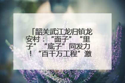 韶关武江龙归镇龙安村：“面子”“里子”“底子”同发力！“百千万工程”激活乡村新动能