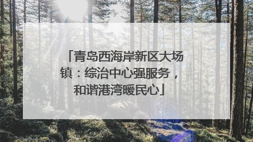 青岛西海岸新区大场镇：综治中心强服务，和谐港湾暖民心