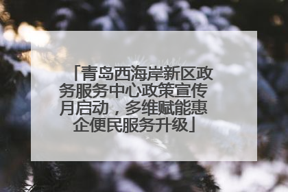 青岛西海岸新区政务服务中心政策宣传月启动，多维赋能惠企便民服务升级
