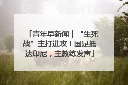 青年早新闻｜“生死战”主打进攻！国足抵达印尼，主教练发声