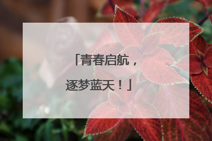 青春启航，逐梦蓝天！