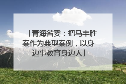 青海省委：把马丰胜案作为典型案例，以身边事教育身边人