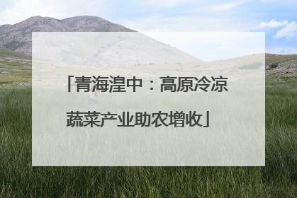 青海湟中：高原冷凉蔬菜产业助农增收