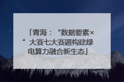 青海：“数据要素×”大赛七大赛题构建绿电算力融合新生态