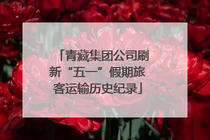 青藏集团公司刷新“五一”假期旅客运输历史纪录