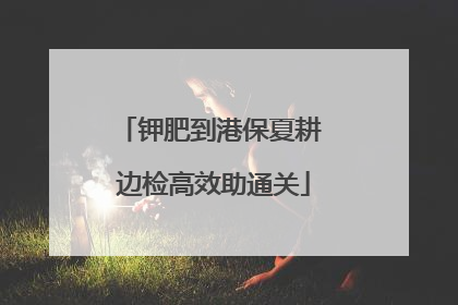 钾肥到港保夏耕 边检高效助通关