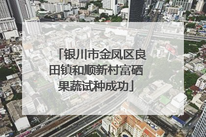 银川市金凤区良田镇和顺新村富硒果蔬试种成功