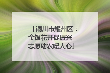 铜川市耀州区：金银花开促振兴 志愿助农暖人心