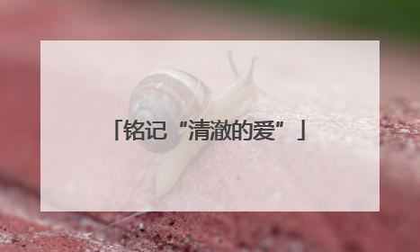 铭记“清澈的爱”