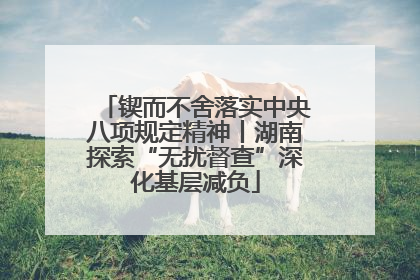 锲而不舍落实中央八项规定精神丨湖南探索“无扰督查”深化基层减负