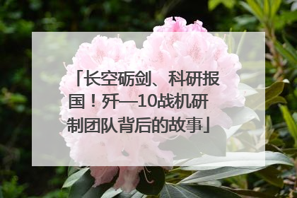 长空砺剑、科研报国！歼—10战机研制团队背后的故事