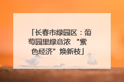 长春市绿园区：葡萄园里绿意浓 “紫色经济”焕新枝