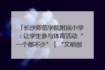 长沙师范学院附属小学：让学生参与体育活动“一个都不少”｜“文明创建耀三湘”专栏