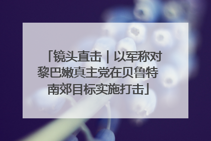 镜头直击｜以军称对黎巴嫩真主党在贝鲁特南郊目标实施打击