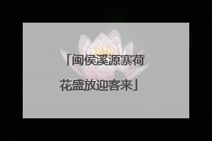 闽侯溪源寨荷花盛放迎客来