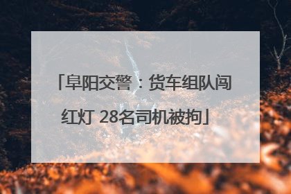 阜阳交警：货车组队闯红灯 28名司机被拘
