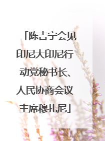 陈吉宁会见印尼大印尼行动党秘书长、人民协商会议主席穆扎尼