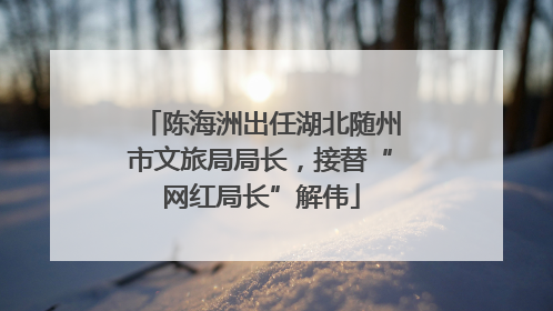 陈海洲出任湖北随州市文旅局局长，接替“网红局长”解伟