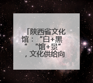 陕西省文化馆：“白+黑”“馆+景”，文化供给向美而聚