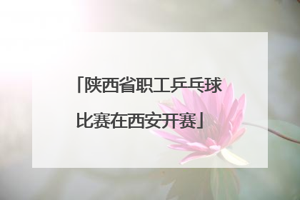 陕西省职工乒乓球比赛在西安开赛