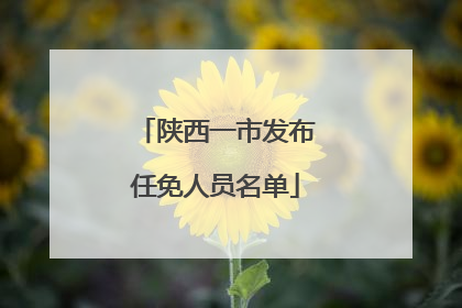 陕西一市发布任免人员名单