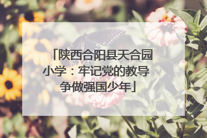 陕西合阳县天合园小学：牢记党的教导 争做强国少年