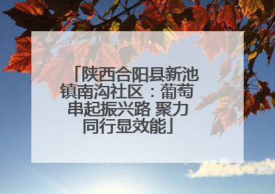陕西合阳县新池镇南沟社区：葡萄串起振兴路 聚力同行显效能