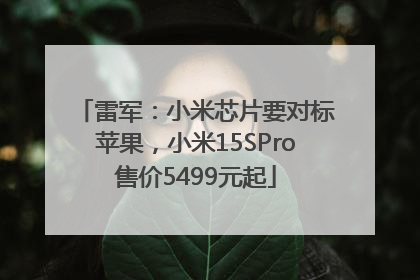 雷军：小米芯片要对标苹果，小米15SPro售价5499元起