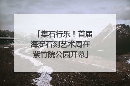 集石行乐！首届海淀石刻艺术周在紫竹院公园开幕