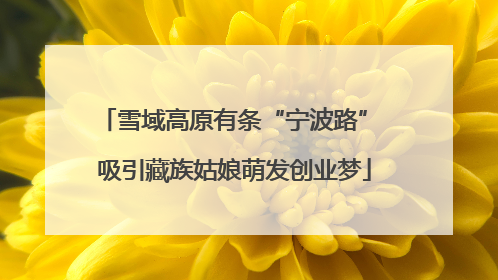 雪域高原有条“宁波路” 吸引藏族姑娘萌发创业梦