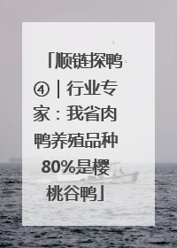 顺链探鸭④｜行业专家：我省肉鸭养殖品种80%是樱桃谷鸭