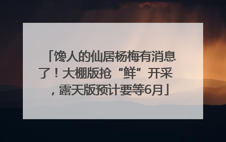 馋人的仙居杨梅有消息了！大棚版抢“鲜”开采，露天版预计要等6月