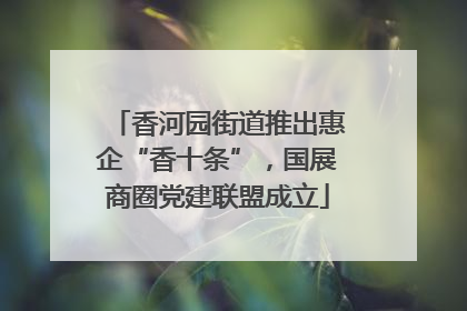 香河园街道推出惠企“香十条”，国展商圈党建联盟成立