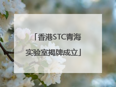 香港STC青海实验室揭牌成立