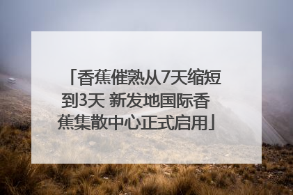 香蕉催熟从7天缩短到3天 新发地国际香蕉集散中心正式启用