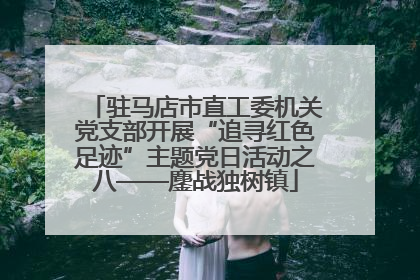驻马店市直工委机关党支部开展“追寻红色足迹”主题党日活动之八——鏖战独树镇