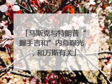 马斯克与特朗普“握手言和”内幕曝光，和万斯有关