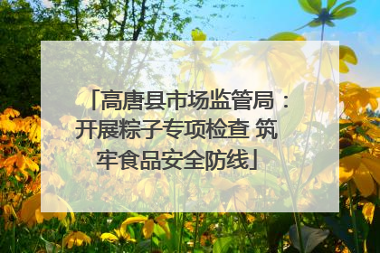 高唐县市场监管局：开展粽子专项检查 筑牢食品安全防线