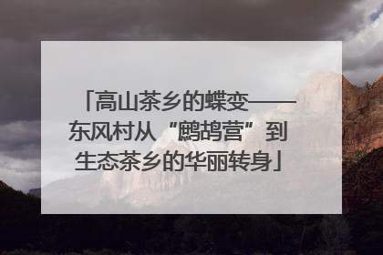 高山茶乡的蝶变——东风村从“鹧鸪营”到生态茶乡的华丽转身