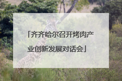 齐齐哈尔召开烤肉产业创新发展对话会