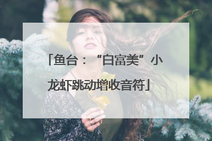 鱼台：“白富美”小龙虾跳动增收音符