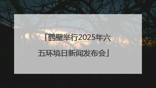 鹤壁举行2025年六五环境日新闻发布会