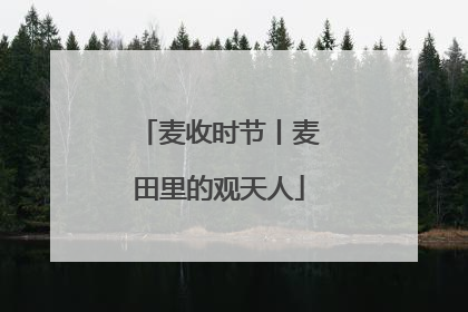 麦收时节丨麦田里的观天人
