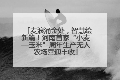麦浪涌金处，智慧绘新篇！河南首家“小麦—玉米”周年生产无人农场喜迎丰收