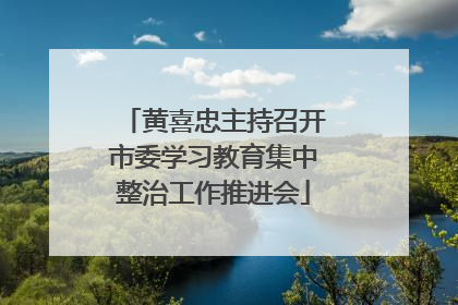 黄喜忠主持召开市委学习教育集中整治工作推进会