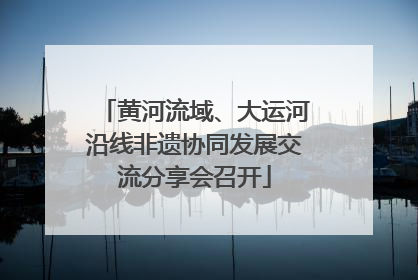 黄河流域、大运河沿线非遗协同发展交流分享会召开