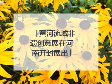 黄河流域非遗创意展在河南开封展出