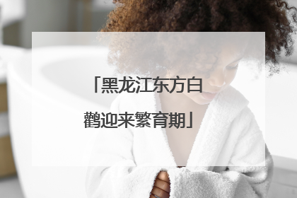 黑龙江东方白鹳迎来繁育期