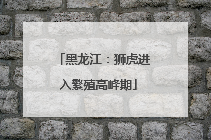 黑龙江：狮虎进入繁殖高峰期